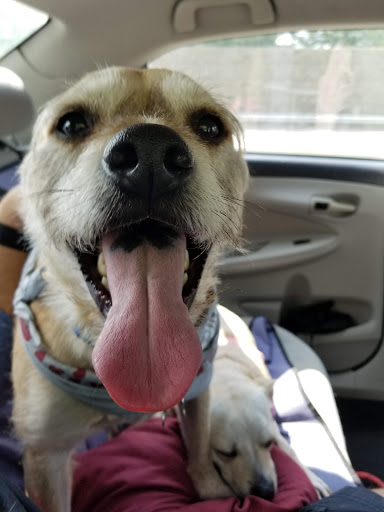 Golf Course «Sunset Valley Golf Course», reviews and photos, 47 W Sunset Rd, Pompton Plains, NJ 07444, USA