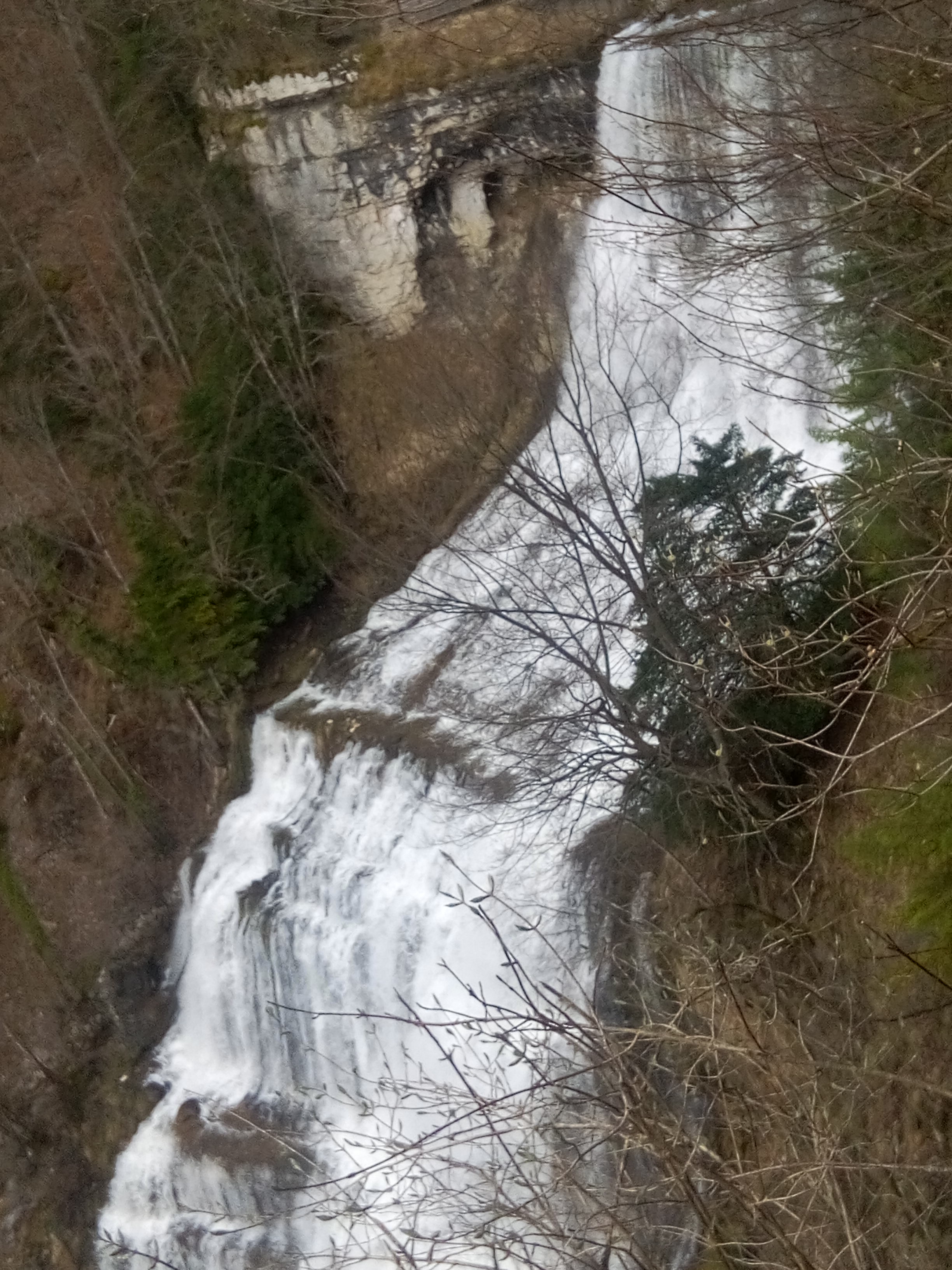 Photo n° 2 de l'avis de Rene.e fait le 05/04/2018 à 16:55