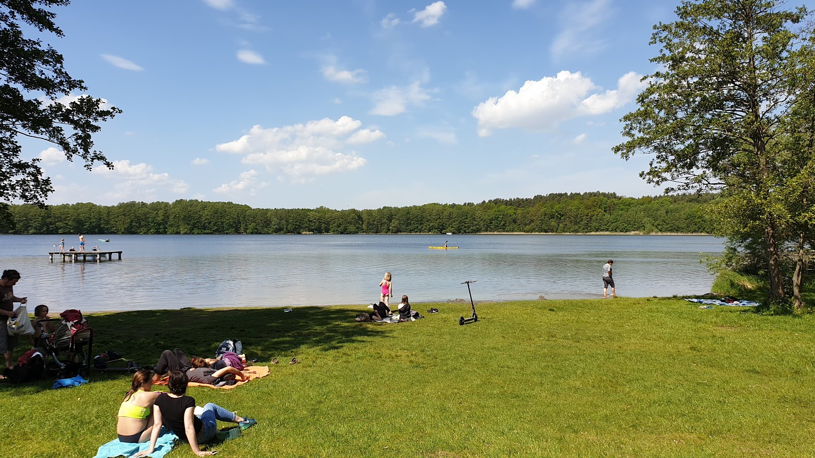 Zdjęcie Granzow Strand z powierzchnią trawa