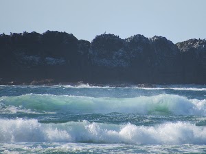 Yaquina Art Association - photo 39