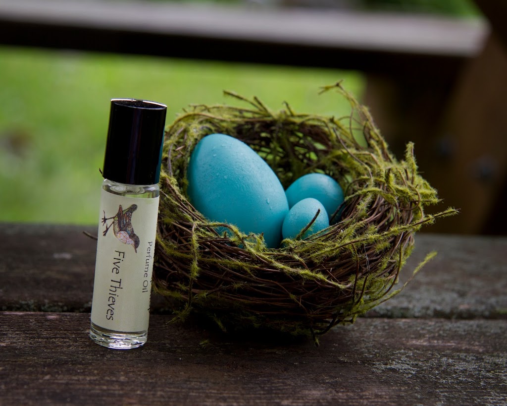 Rare Bird Soap Shop 52401