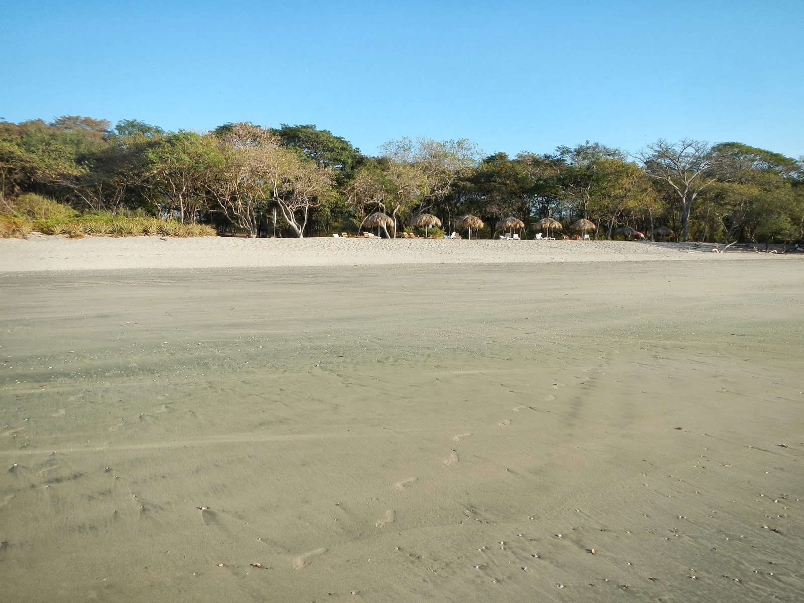 Langosta Beach photo #8