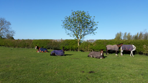 South Leicestershire Riding Establishment