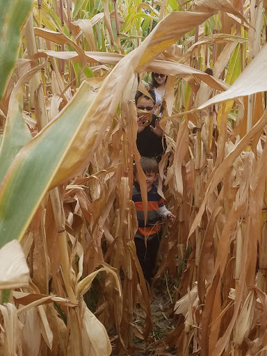 Farm «Abbey Farms», reviews and photos, 2855 Hart Rd, Aurora, IL 60502, USA