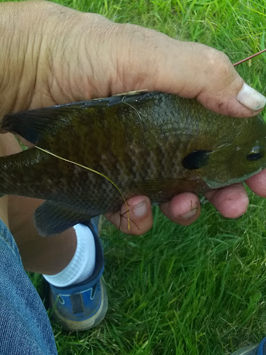 Park «Shorewood Four Seasons Park», reviews and photos, 25520 W Seil Rd, Shorewood, IL 60404, USA