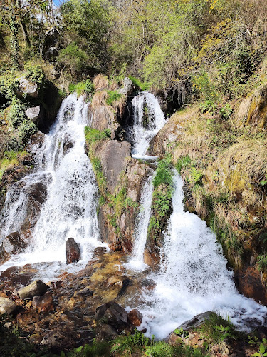 Avaliações doCascata do rio Gresso em Vila Nova de Gaia - Agência de viagens