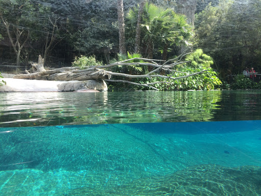 Parques naturales cerca San Diego