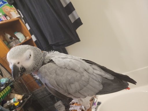 Pet Supply Store «PetSmart», reviews and photos, 5001 Sergeant Rd, Sioux City, IA 51106, USA