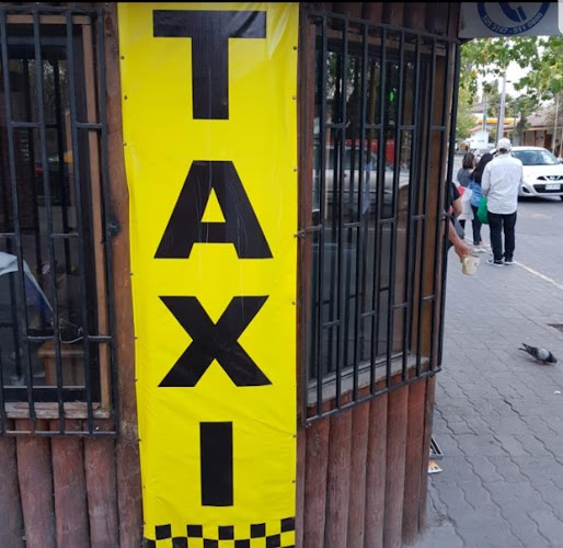 Opiniones de Taxis pirque en Pirque - Servicio de taxis