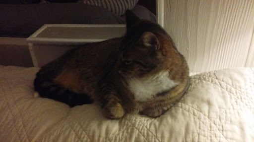 Mattress Store «Old Brick Furniture», reviews and photos, 2910 Campbell Ave, Schenectady, NY 12306, USA