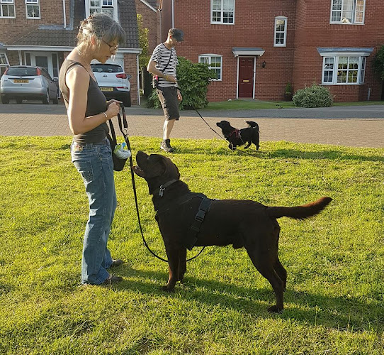 77 reviews of Fern Ember Dog Behaviour (Dog trainer) in Lincoln