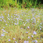 Photo n°11 de l'avis de Augusta.o fait le 15/08/2022 à 20:49 sur le  Hotel Rurale Canneviè à Codigoro
