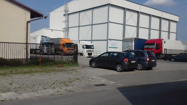 Comentarii opinii despre Ulmer S.K.A