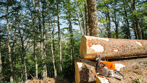 Magasin de bois de chauffage La Bouscaterie : bois de chauffage Ardèche Joyeuse