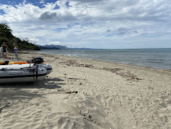 Photo de Golden Bay Beach avec rivage droit, long