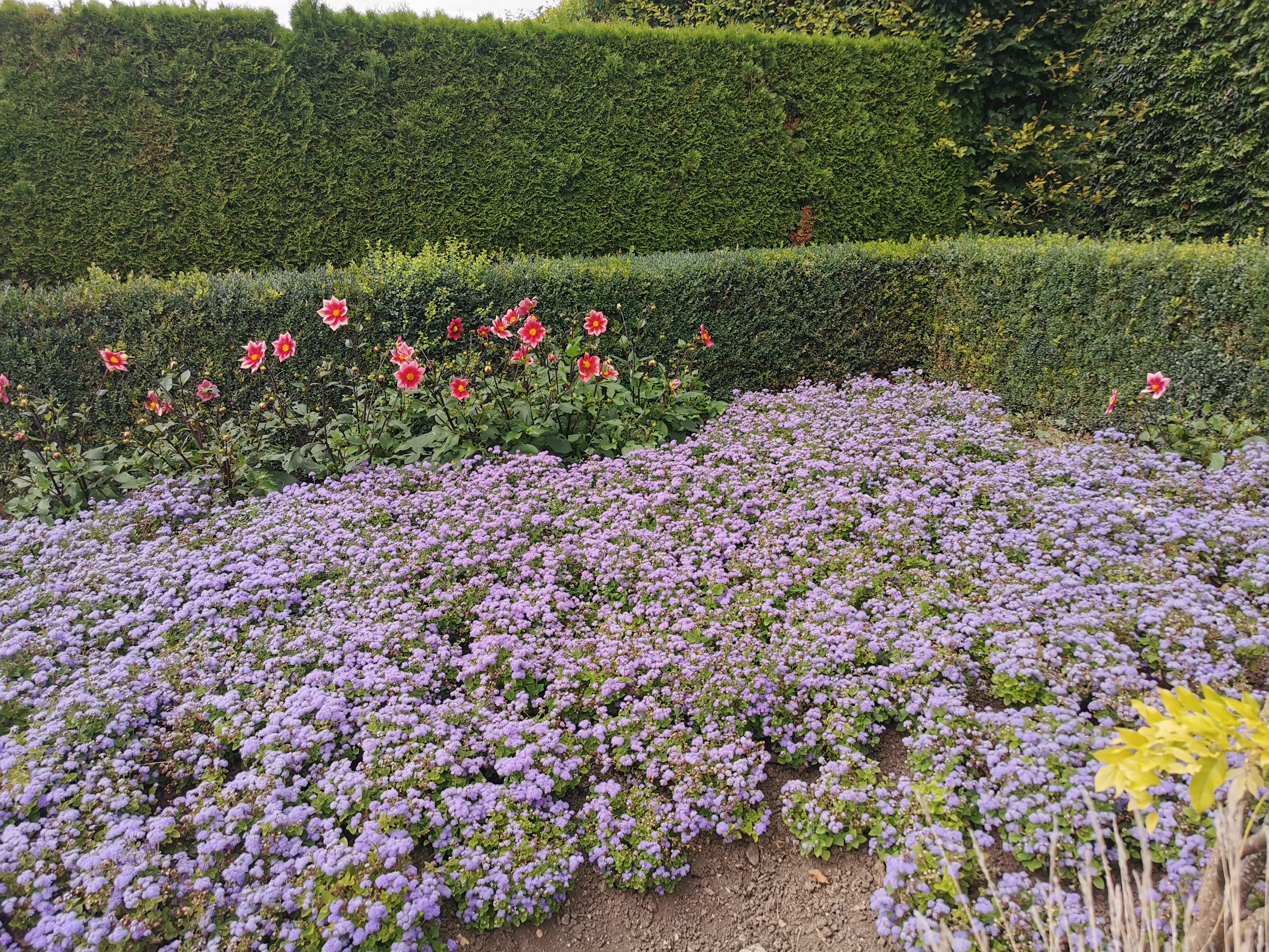 Photo n° 18 de l'avis de Francine.E fait le 27/08/2023 à 20:10