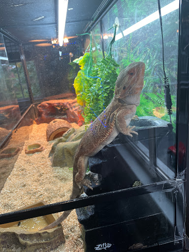 Pet Store «Pets World», reviews and photos, 147 Bridge St, Weymouth, MA 02191, USA