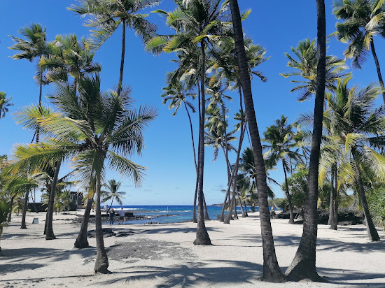 Honl's Beach
