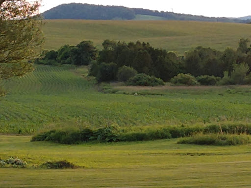 Campground «Cooperstown KOA», reviews and photos, 565 Ostrander Rd, Richfield Springs, NY 13439, USA