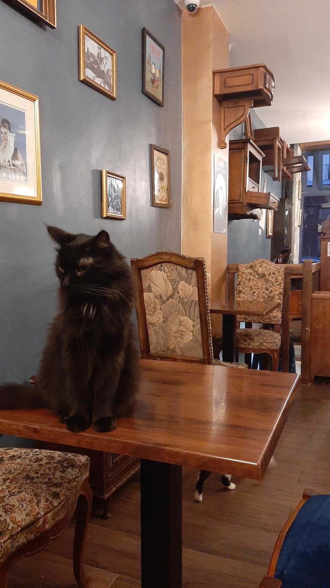 Photo n° 4 de l'avis de Clément.o fait le 10/08/2021 à 23:08