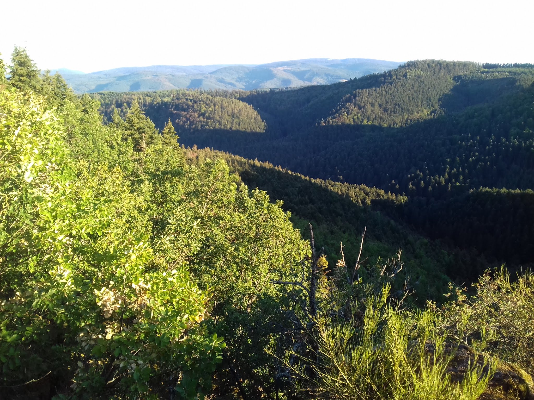 Photo n° 1 de l'avis de Claudio. fait le 15/01/2019 à 22:16