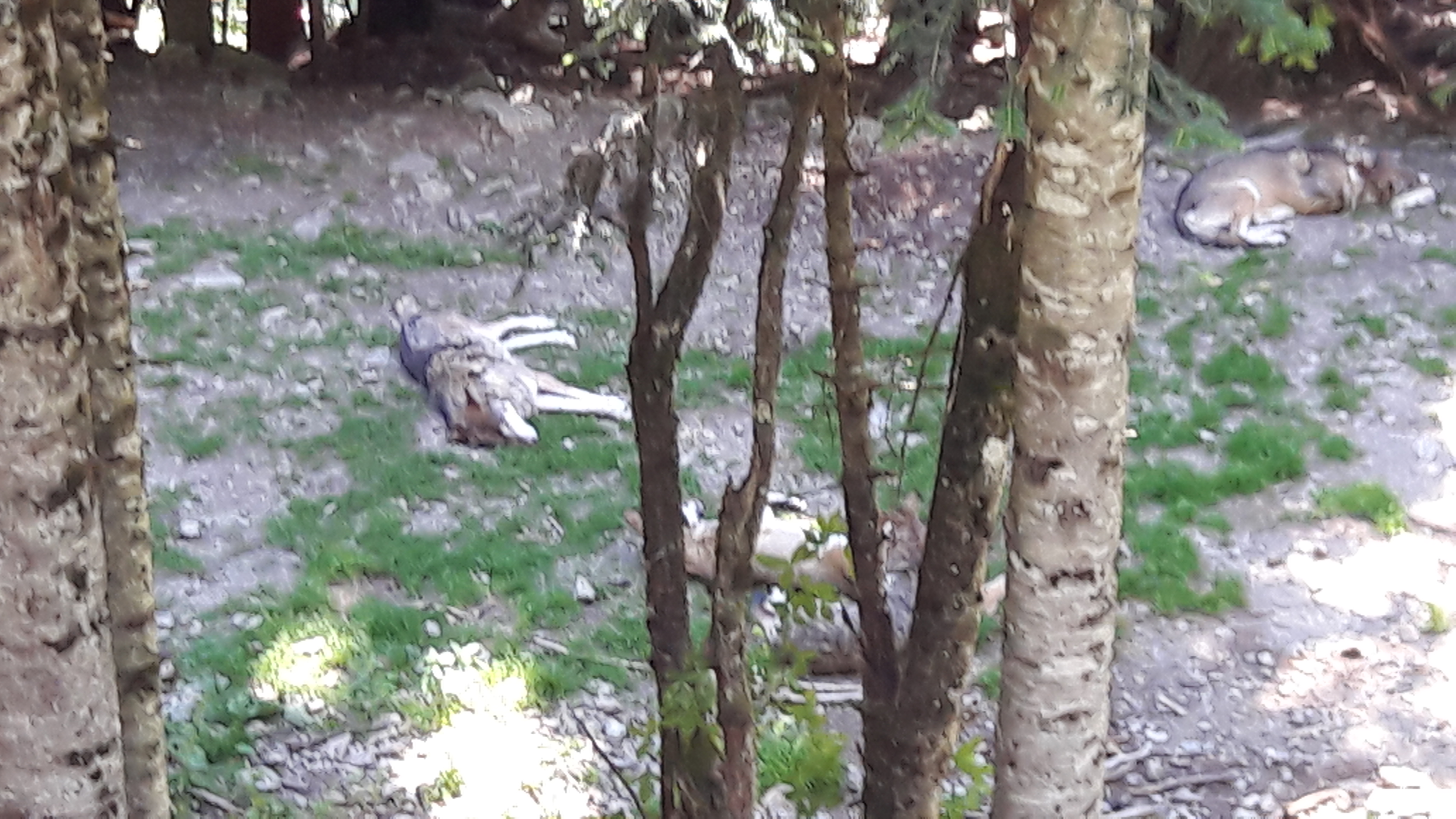 Photo n° 7 de l'avis de Ambre.h fait le 05/03/2017 à 01:43