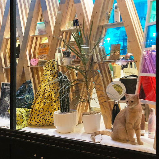 Gift Shop «Madison Modern Market», reviews and photos, 310 State St, Madison, WI 53703, USA