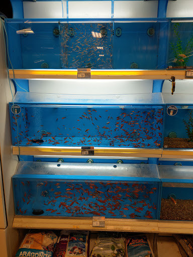 Pet Supply Store «PetSmart», reviews and photos, 11835 Retail Dr, Wake Forest, NC 27587, USA