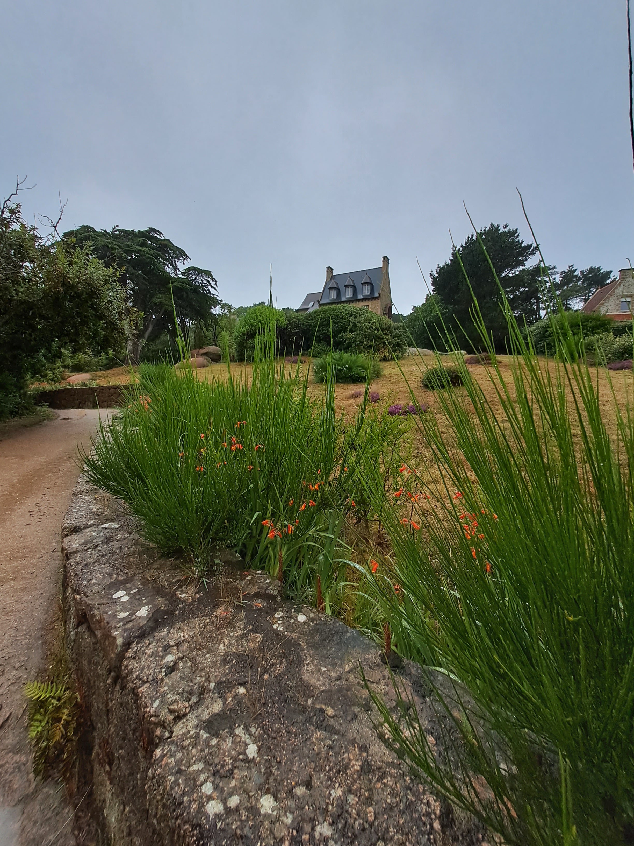 Photo n° 9 de l'avis de V.E fait le 24/07/2023 à 17:49