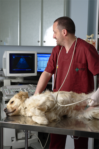 Clínican Centre Veterinari en Cassà de la Selva
