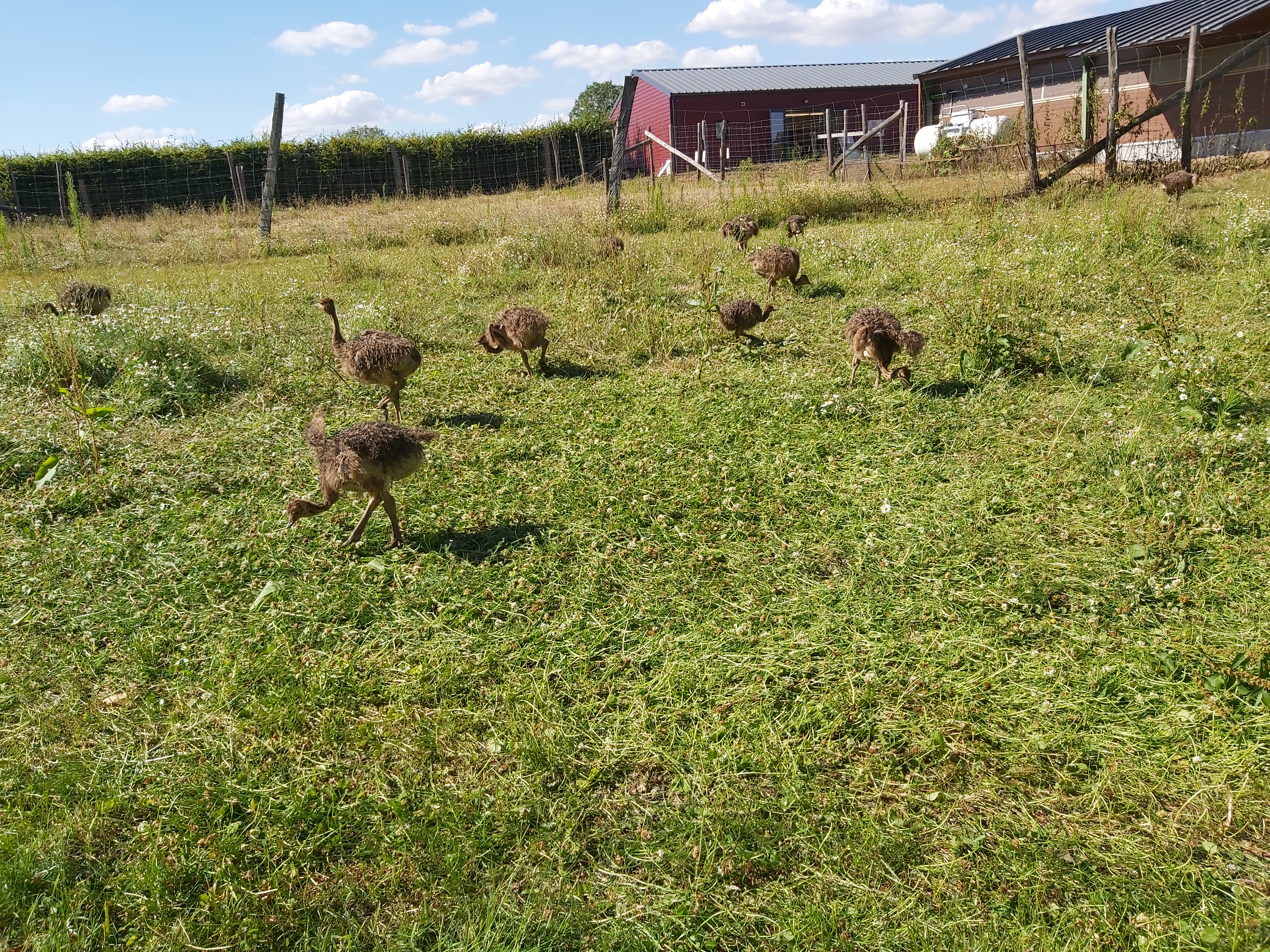 Photo n° 7 de l'avis de Guigeek_22. fait le 25/07/2020 à 21:01