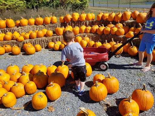 Supermarket «Spring Valley Farm Corner Market», reviews and photos, 22580 Northwestern Turnpike, Romney, WV 26757, USA