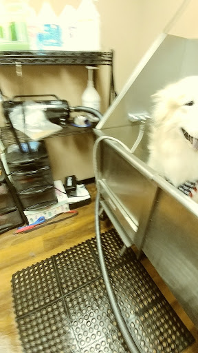 Pet Store «Pet Valu», reviews and photos, 2645 Shillington Rd, Sinking Spring, PA 19608, USA