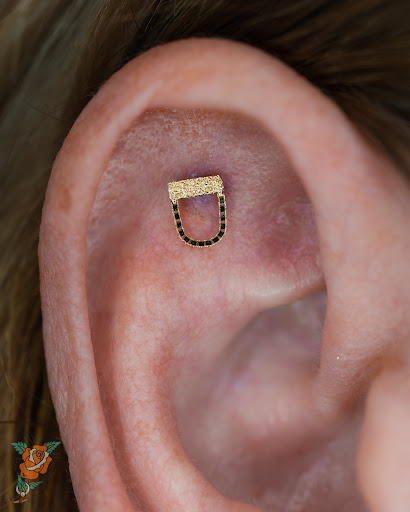 Explore background tattoo ideas, creative tattoo ideas in San Diego, available at Rose Body Piercing