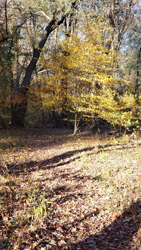 Park «Saddle River Park», reviews and photos, Dunkerhook Rd, Paramus, NJ 07652, USA