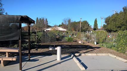 Calabazas Community Garden
