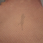 Photo n°1 de l'avis de Stephane.i fait le 04/01/2024 à 20:09 sur le  Hotel Promenade à Montesilvano