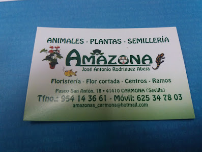 Amazonas Floristeria y Tienda de Animales C. P.º de San Antón, 18, 41410 Carmona, Sevilla, España