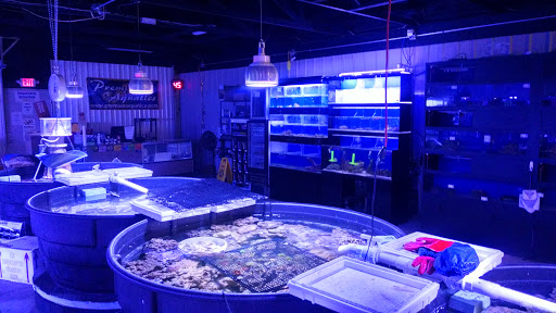 Tropical Fish Store «Premium Aquatics», reviews and photos, 401 E Center Cross St, Edinburgh, IN 46124, USA