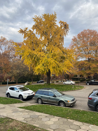 History Museum «Conrad-Caldwell House», reviews and photos, 1402 St James Ct, Louisville, KY 40208, USA