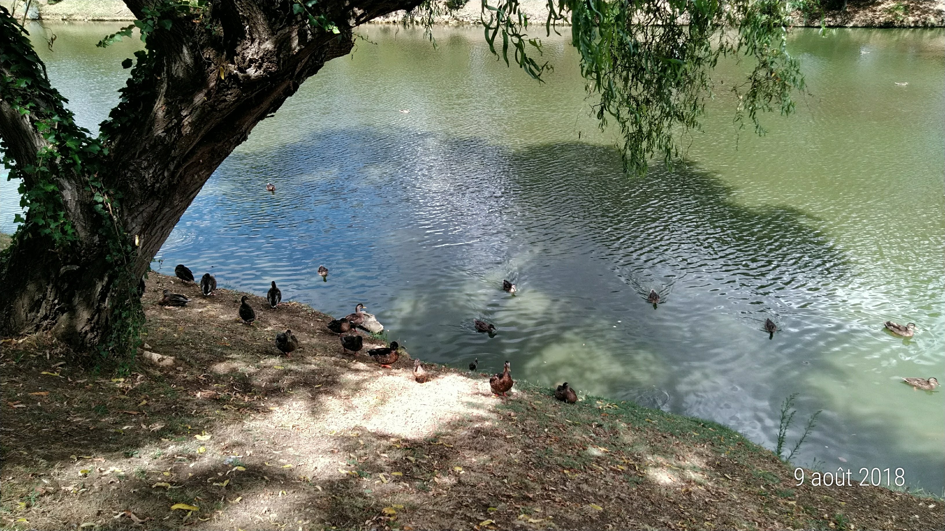 Photo n° 20 de l'avis de Famille.o fait le 13/08/2018 à 15:50