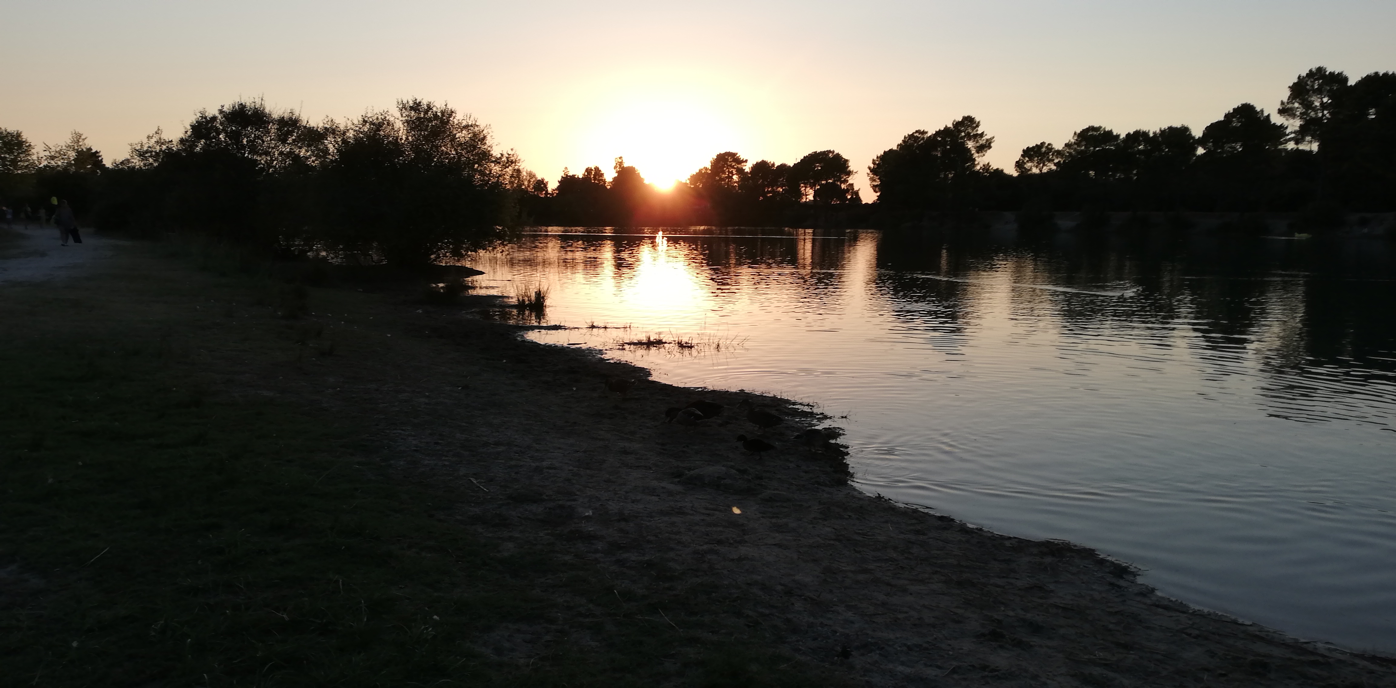 Photo n° 2 de l'avis de PAT. fait le 12/08/2020 à 11:18