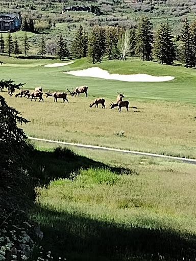 Golf Club «Glenwild Golf Club», reviews and photos, 7600 Glenwild Dr, Park City, UT 84098, USA