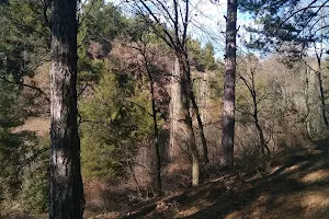 Mustafa Ümmügür Hatıra Ormanı image