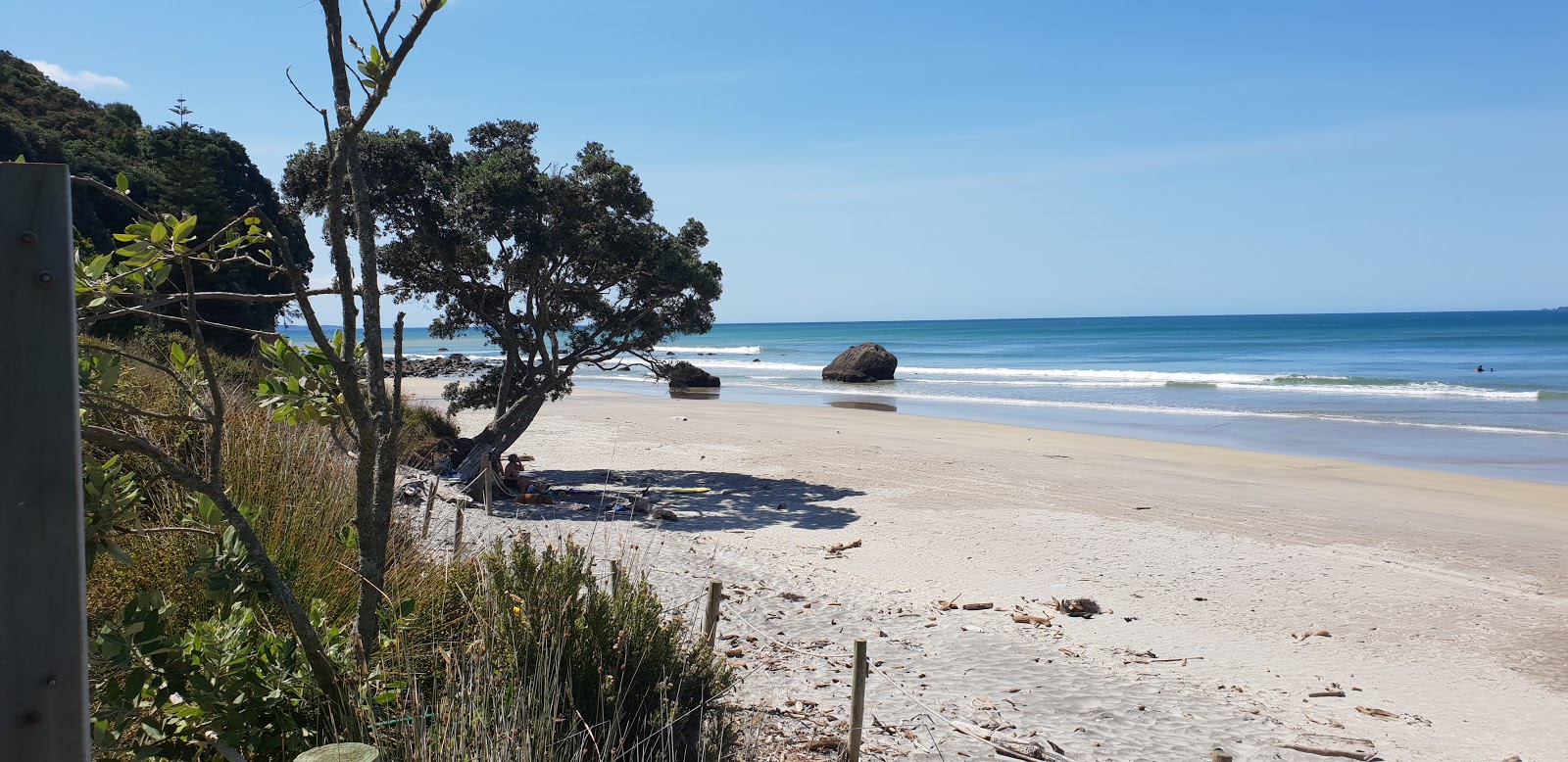 Foto de Newdicks Beach con recta y larga