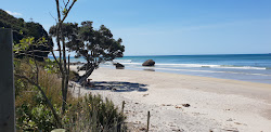 Photo de Newdicks Beach avec un niveau de propreté de très propre