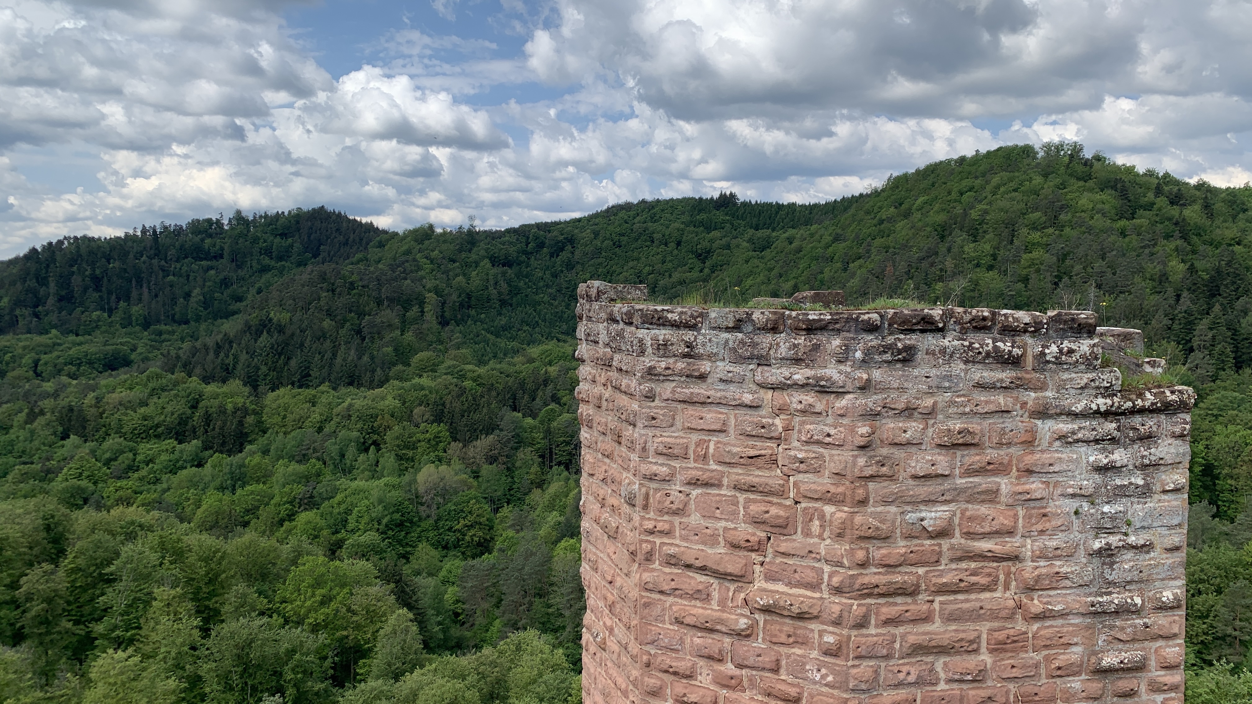 Photo n° 5 de l'avis de Klapphorn. fait le 17/05/2023 à 11:06