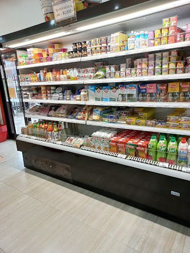 San Luis 1010, 5090391 Valdivia, Los Ríos