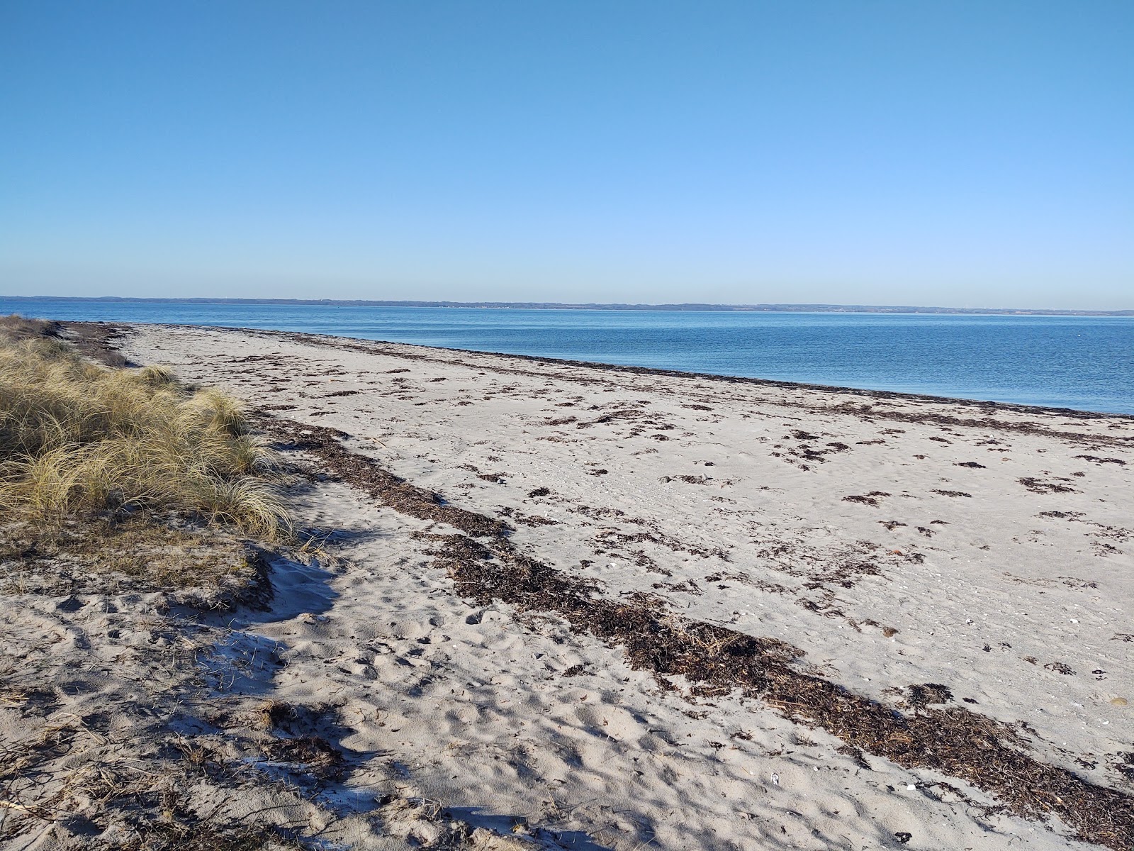 Lohals Nordstrand Beach的照片 带有宽敞的海岸