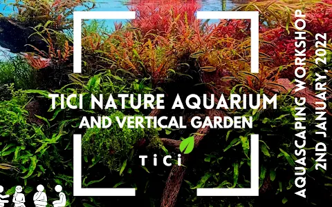 TiCi Nature Aquarium and Vertical Garden image